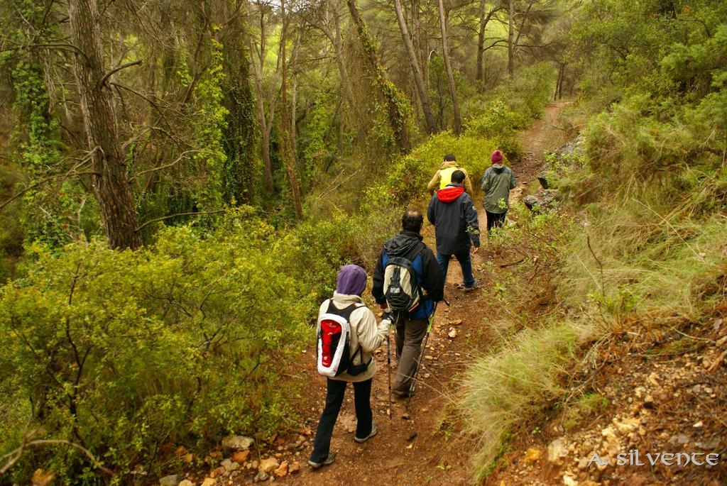 Atalaya Hostel Bogarra Kültér fotó